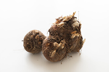 八ツ頭 © 千帆 大木