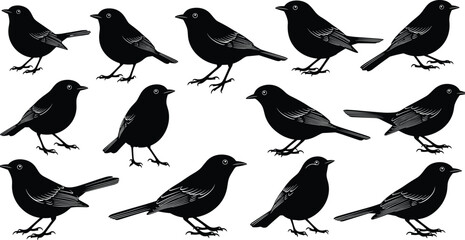 Obraz premium Black bird silhouette collection, multiple perched poses minimalist monochrome vector illustration set for wildlife design, nature icons, tattoo, logo branding