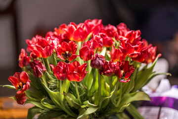 30-12-2025 flower - red tulips