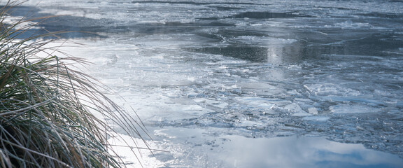 Winter bank landscape with ice floes on the water and aquatic plants on the bank. Horizontal background with ice texture.