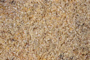Dry light-colored sawdust and shavings from wood processing. Textured background.