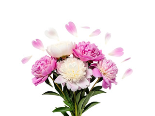 Delicate bouquet of pink and white peonies