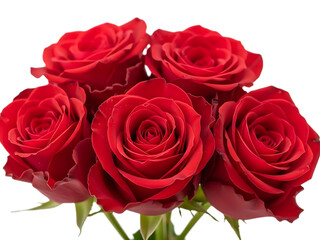 Vibrant red roses bouquet