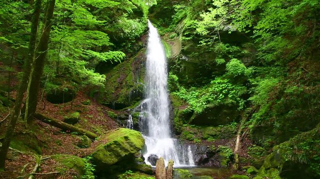 栃木県那須塩原市　塩原温泉を流れる留春の滝