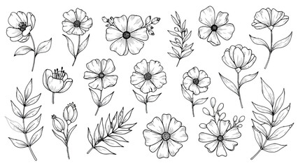 Floral line art illustrations for design and decoration, black and white