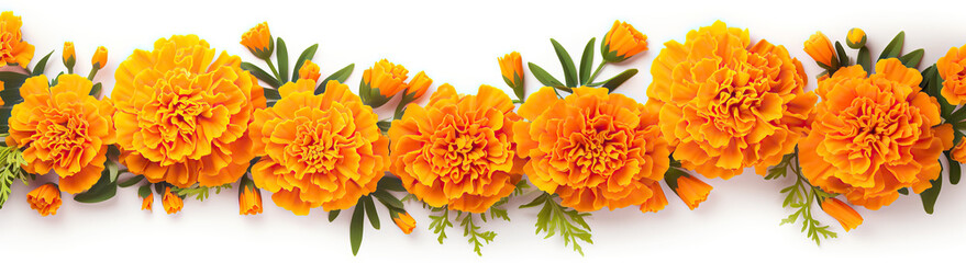 Traditional marigold flower garland used in Indian Hindu religious rituals and festivals such as Diwali Makar Sankranti Pongal Magh Bihu and Lohri symbolizing spirituality and celebration