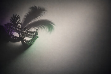 Mysterious masquerade mask with feather decoration on white background