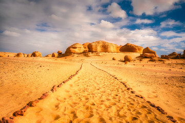 Sand and rock desert landscape with the path, Wadi Hitan, Egypt © Martin M303