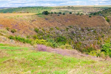 Grassy valley dips between rolling hills, dotted with purple wildflowers. Rocky slopes and cultivated fields stretch beneath cloudy sky. Overlook of steep, vegetated ravine with exposed rock face