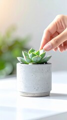 Hand Gently Touching Succulent Plant In A Textured Concrete Pot On A Bright White Surface With Soft Natural Lighting