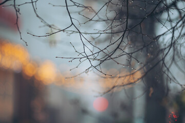 Raindrops are on bare branches in an urban area on a wet day. The background shows blurred lights and colors, creating a soft effect. The scene captures the mood of rainy weather