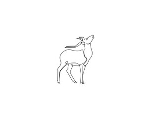 Obraz premium Continuous one line drawing of reindeer animal. One line drawing illustration of santa reindeer. Christmas day concept single line. Editable outline