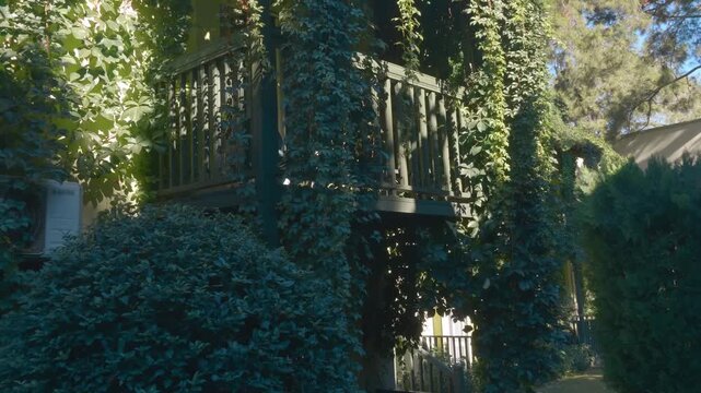 A cozy two-story house with a balconies completely enclosed by beautiful, drooping vines of maiden grapes. Shot in motion