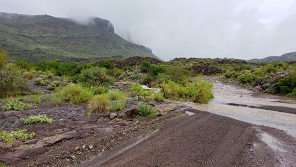 Big Bend Ranch State Park during a storm.