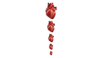 Sequence of hearts isolated on transparent background