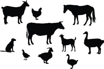 Fototapeta premium Farm animals silhouette collection featuring cow, horse, goat, chicken, duck and dog, livestock set, rural agriculture, black illustration