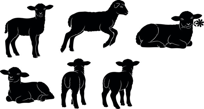 Black silhouettes of lambs in various poses isolated on white background