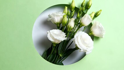 White eustoma flowers rest beside a circular cutout on a pale green background with available space for text or design. The minimalist layout emphasizes soft white petals and green buds arranged diago