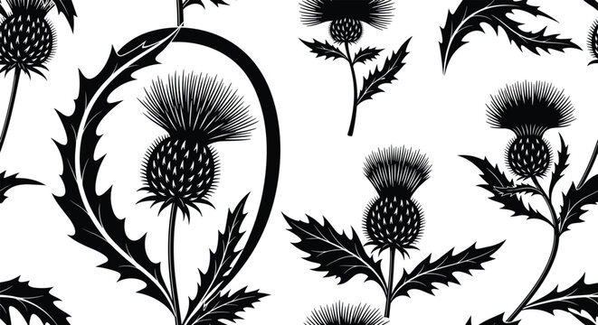 Elegant seamless pattern of black Scottish thistles with thorny leaves and swirling stems, creating a classic and decorative floral background.