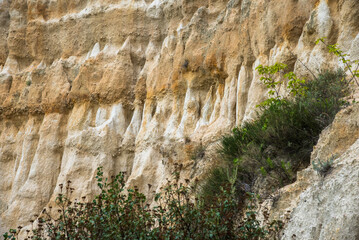 sculptures naturelles &agrave; Ille-sur-T&ecirc;t en France