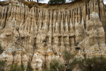 sculptures naturelles &agrave; Ille-sur-T&ecirc;t en France