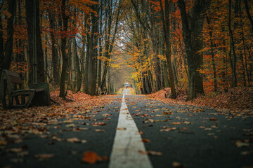 Park im. Powstańc&oacute;w Śląskich w Zabrzu