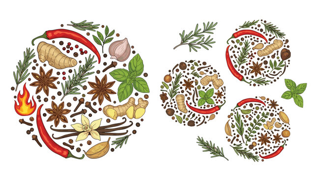 Variety of aromatic spices and herbs arranged in circular shapes including chili ginger garlic and cinnamon sticks.