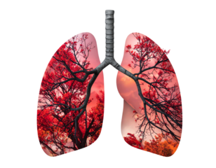 Firefly_Athlete Running Side View Isolated on Transparent Background - Firefly_Athlete Running Side View Isolated on Transparent Background - F Red Branches Isolated on Transparent Background PNG  (3)