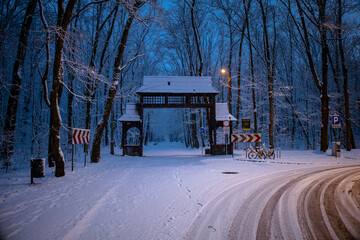 Park im. Powstańc&oacute;w Śląskich w Zabrzu