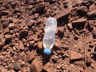 A plastic bottle lying on the ground, Plastic environmental impact