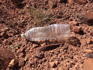 A plastic bottle lying on the ground, Plastic environmental impact
