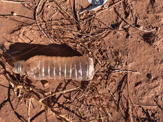 A plastic bottle lying on the ground, Plastic environmental impact