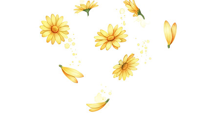 Fototapeta premium Yellow flowers floating in the air against a white background