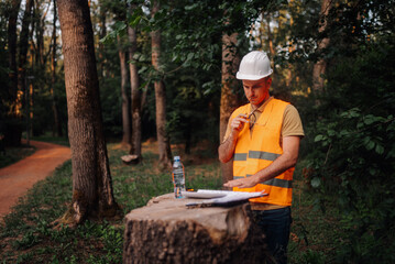 Forest engineer inspecting documents in a woodland setting
