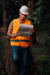 Forest engineer reading blueprint leaning against tree stump