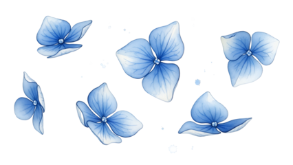 A serene arrangement of blue flowers on a white background, viewed from directly above, showcasing delicate petals and gentle hues.
