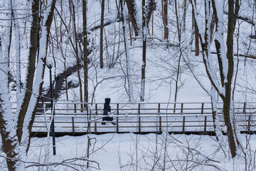 Snowy Pathway Through a Winter Wonderland Scene