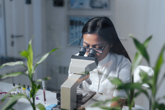 A female scientist examines samples through a microscope in a laboratory focused on medical research and biotechnology. - Powered by Adobe