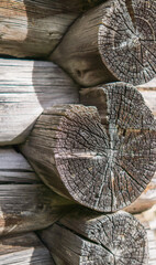 Close up of aged wooden logs with visible tree rings