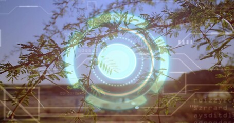 Glowing circular holographic interface hovering over low ridge with pinnate branches HUD overlay