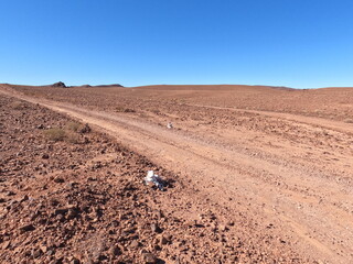 Dirt Road Through Desert Landscape