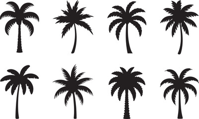 Fototapeta premium Black palm trees set isolated on white background. Palm silhouettes. Design of palm trees for posters, banners and promotional items. Vector illustration