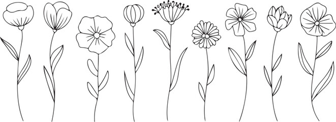 Botanical linear flower set. Abstract creative floral collection, minimalist flowery art for print, tattoo. Vector illustration © Masud