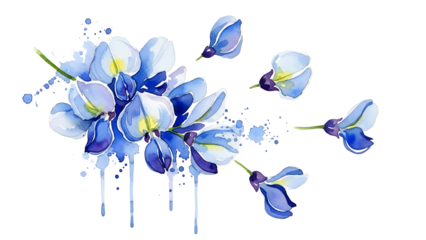 Delicate blue flowers in various stages of bloom, splattered with paint, against a white background, viewed from directly above