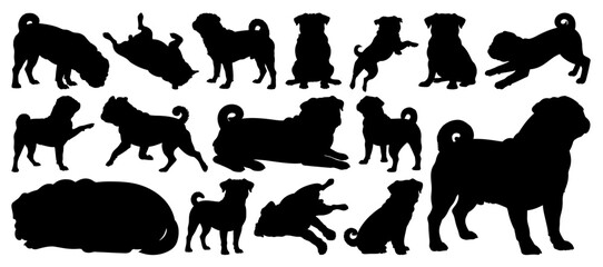 Pug Dog Silhouettes Collection in Various Poses on Transparent Background