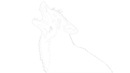 Fototapeta premium Dramatic Black and White Sketch of a Horse in Motion