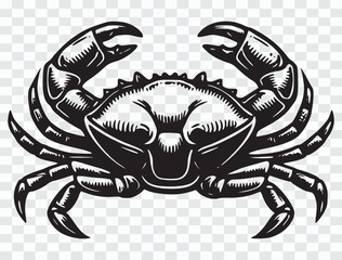 Vintage Engraved Crab Illustration