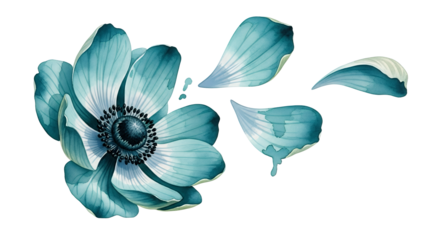 A blue flower with delicate petals unfolding against a clean white background