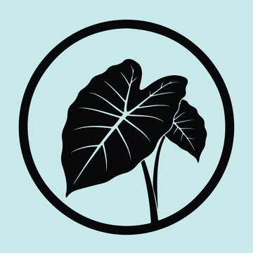Silhouette of taro leaves within a circle vector illustration