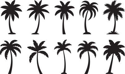Palm silhouttes © Masud